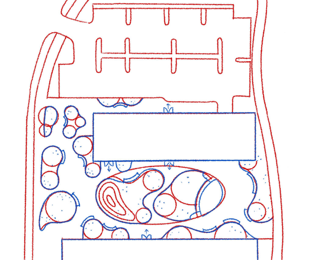 curvalinear option b sketch