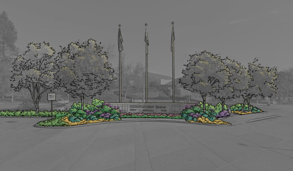 entry perspective option b