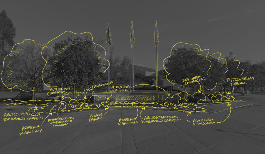 processperspective optionb